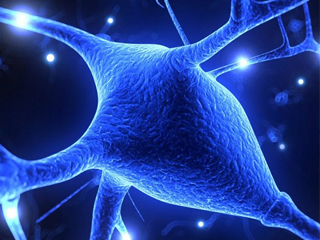 Stem Cell Therapy A Ray of Hope for Patients with Parkinson’s Disease