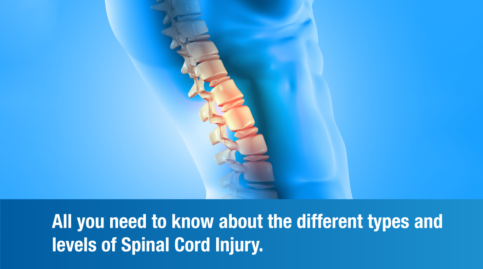 Decoding Spinal Cord Injury — Its Types and Levels