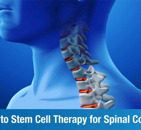 Stem Cell Therapy for Spinal Cord Injury: All You Need To Know