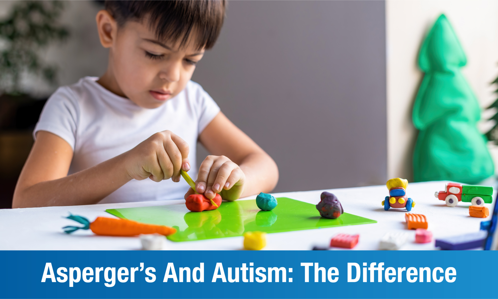 What is the difference between Asperger’s and Autism: An Overview | Plexus