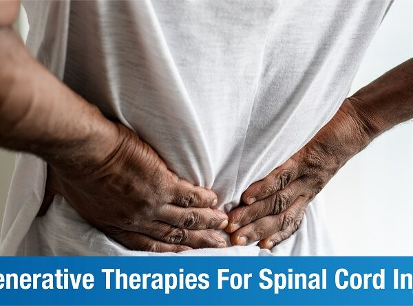 Regenerative Rehabilitation For Spinal Cord Injury: An Introduction