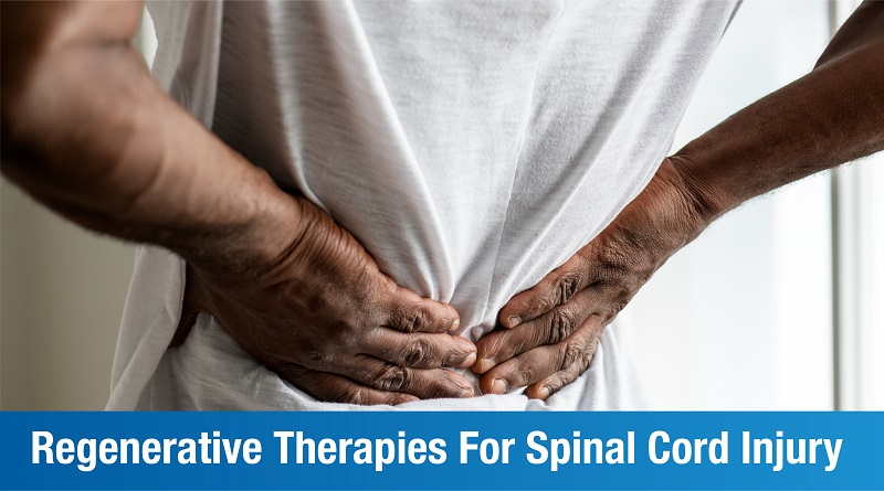 Regenerative Rehabilitation For Spinal Cord Injury: An Introduction