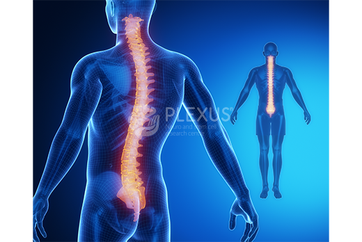 Decoding Spinal Cord Injury