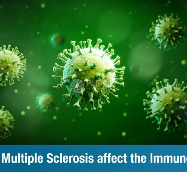 How does Multiple Sclerosis affect the Immune System?