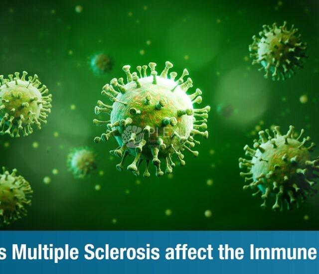 How does Multiple Sclerosis affect the Immune System?