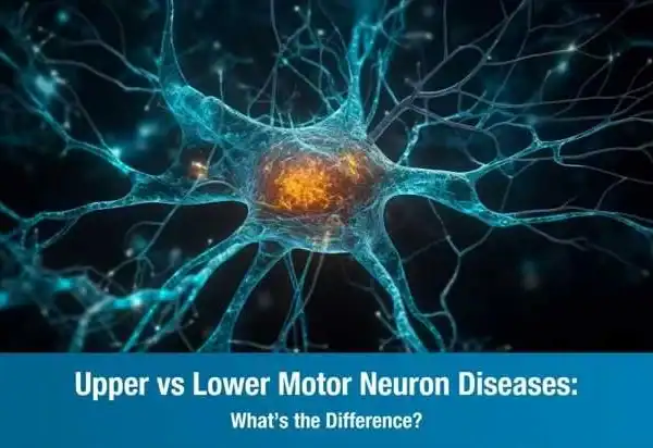 Upper vs Lower Motor Neuron Diseases: What’s the Difference?