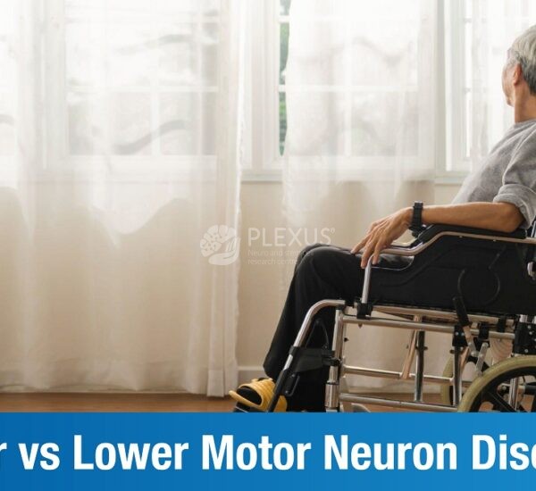 Upper vs Lower Motor Neuron Diseases