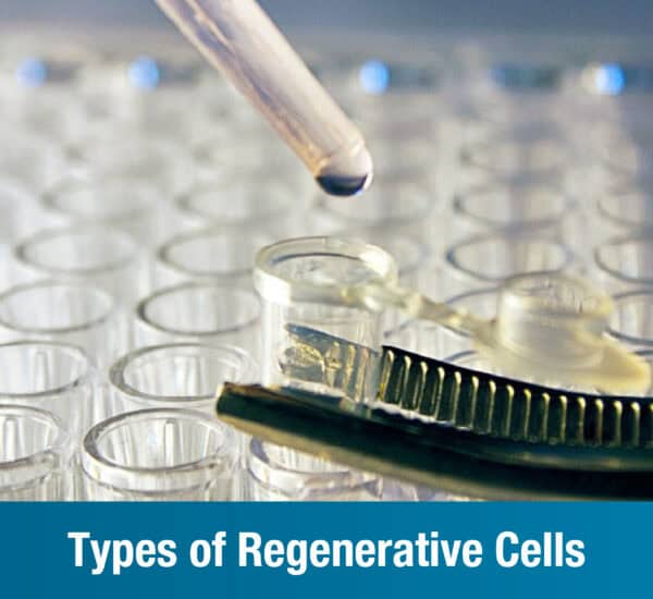 Types of Regenerative Cells