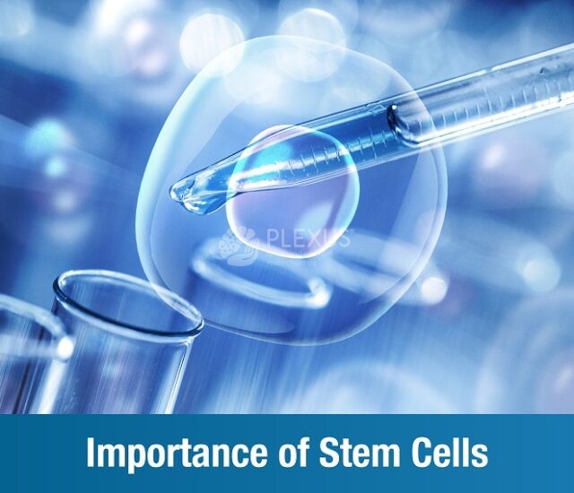 Importance of stem cells