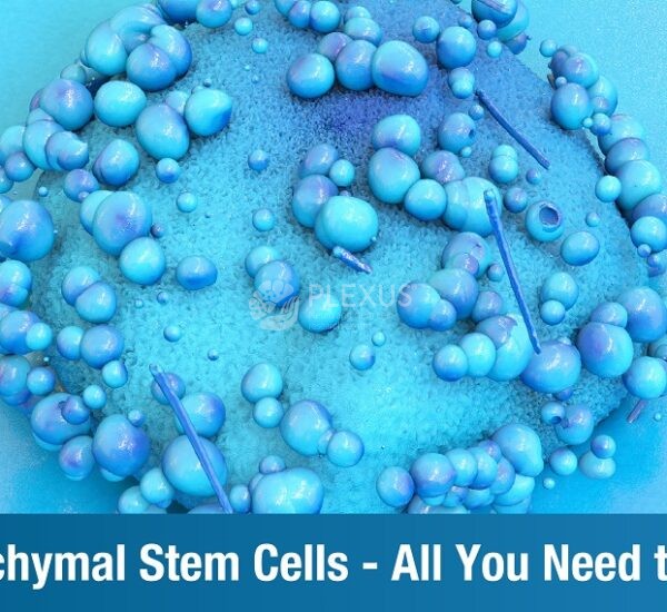 Mesenchymal stem cells