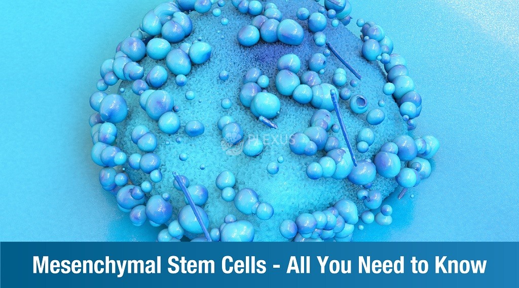 Mesenchymal stem cells