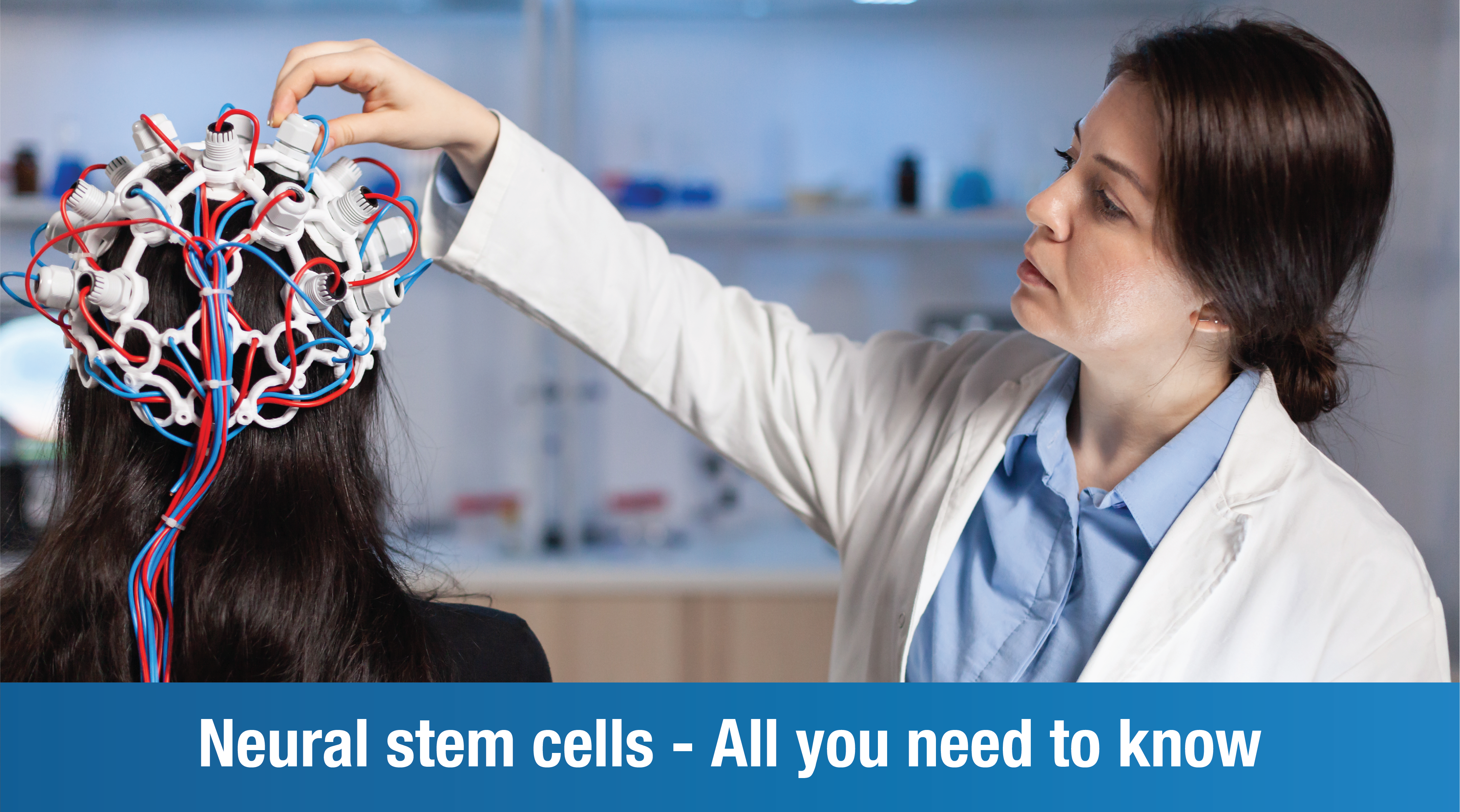 Neural stem cells – All you need to know