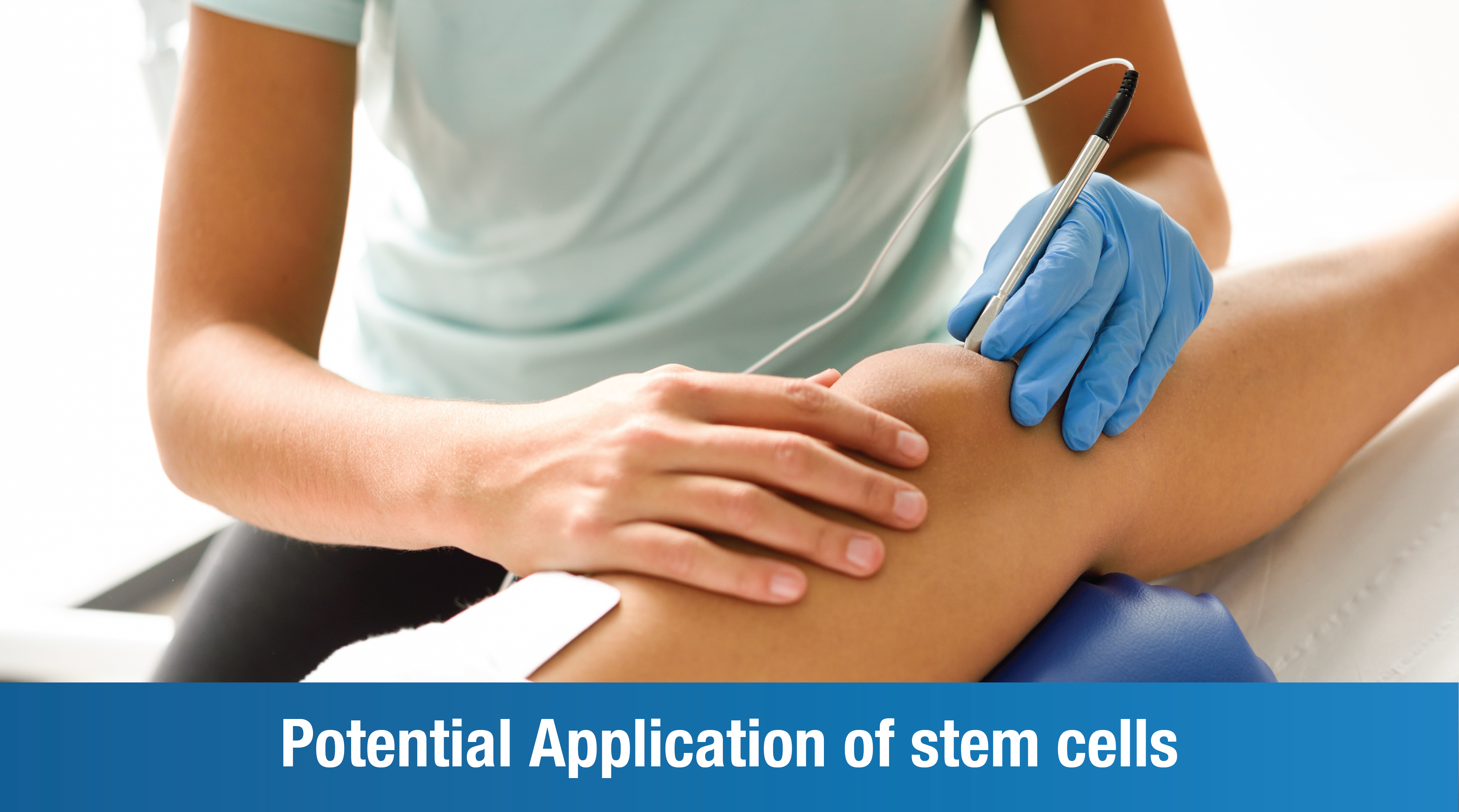 Potential applications of stem cells