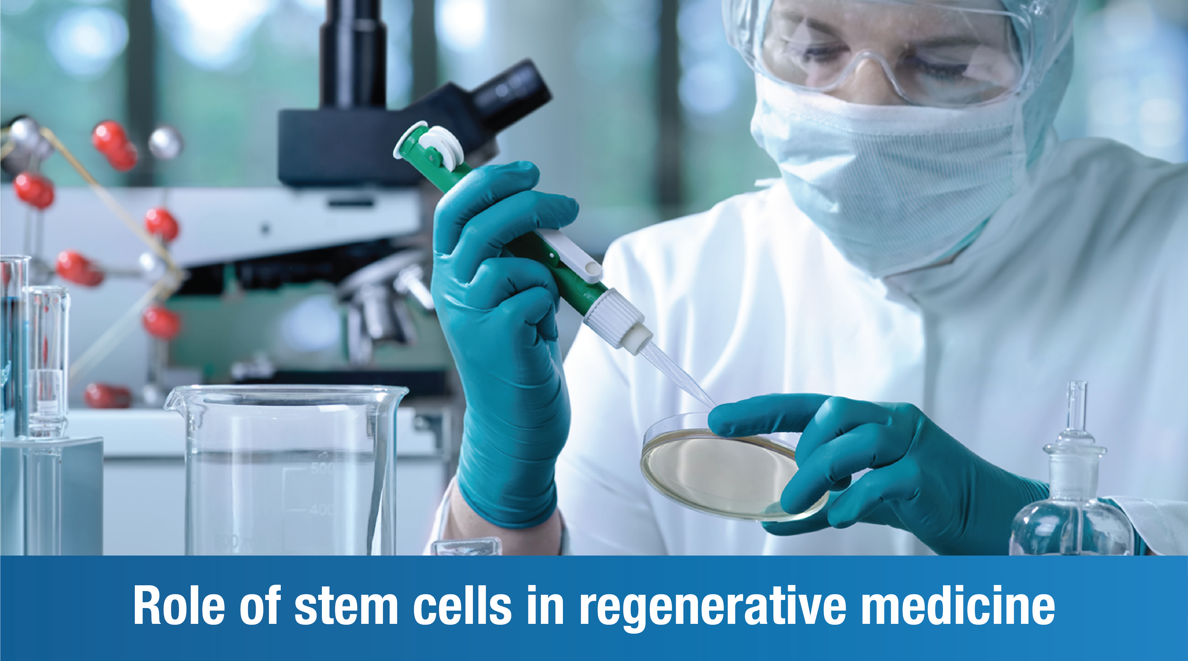 Role of stem cells in regenerative medicine