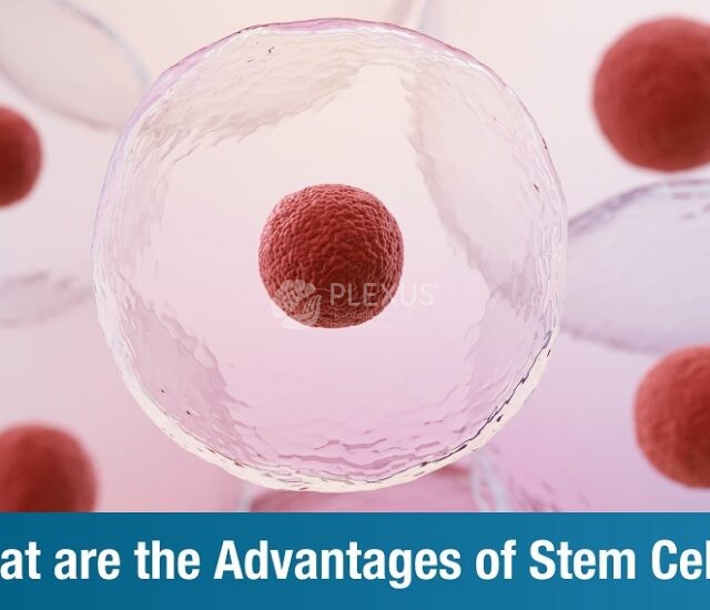 Advantages of stem cells