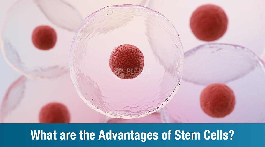 Advantages of stem cells