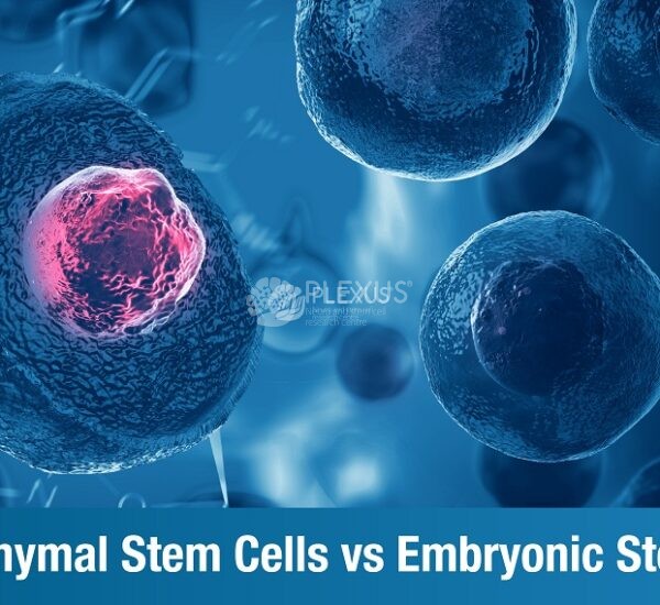 Difference between mesenchymal stem cells and embryonic stem cells