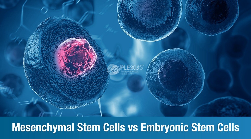 Difference between mesenchymal Cells and embryonic Cells