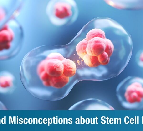 Myths and Misconceptions about Stem Cell Research