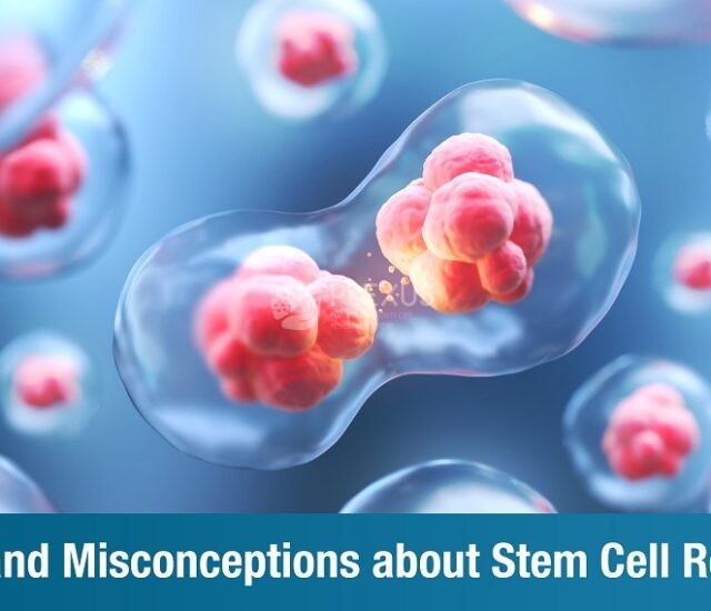 Myths and Misconceptions about Stem Cell Research