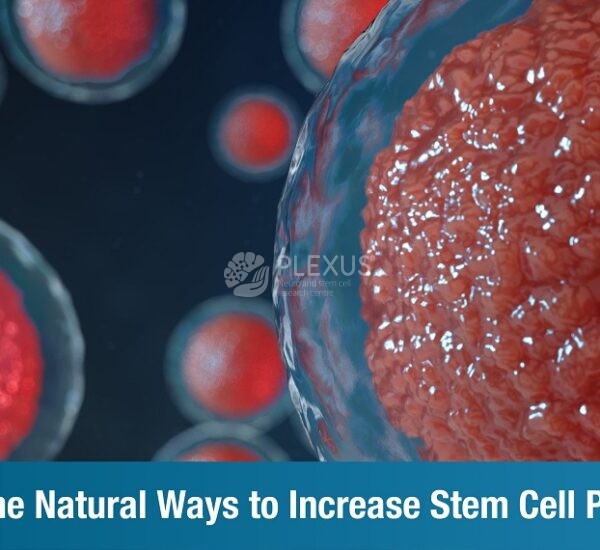 Natural ways to increase stem cell production