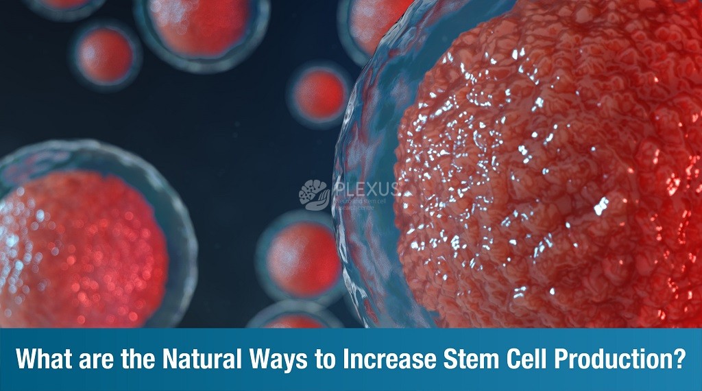 Natural ways to increase stem cell production