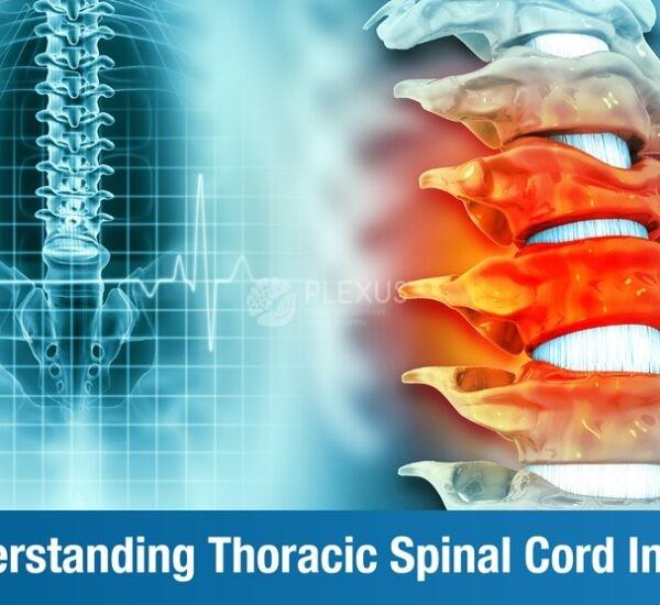 Understanding Thoracic Spinal Cord Injury