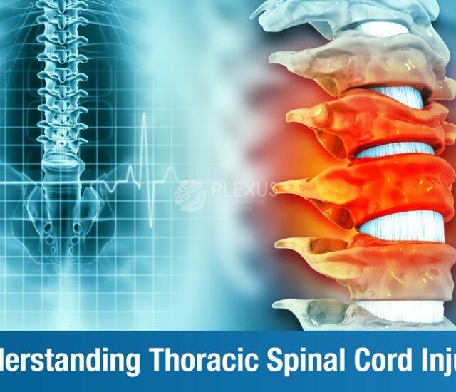 Understanding Thoracic Spinal Cord Injury