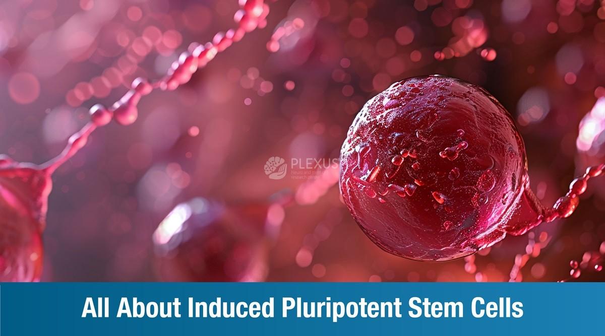 All About Induced Pluripotent Stem Cells