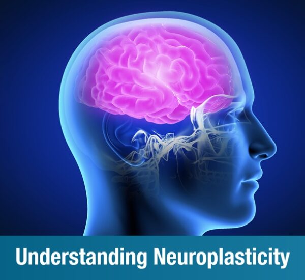 Understanding Neuroplasticity: How the Brain Recovers After Injury