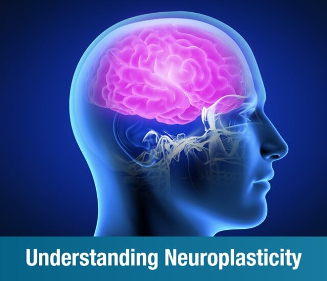 Understanding Neuroplasticity: How the Brain Recovers After Injury