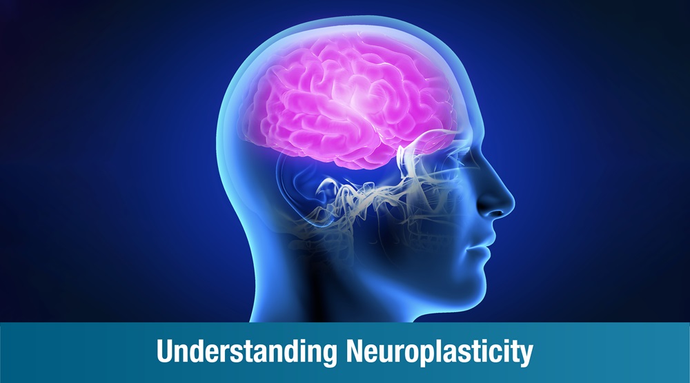 Understanding Neuroplasticity: How the Brain Recovers After Injury