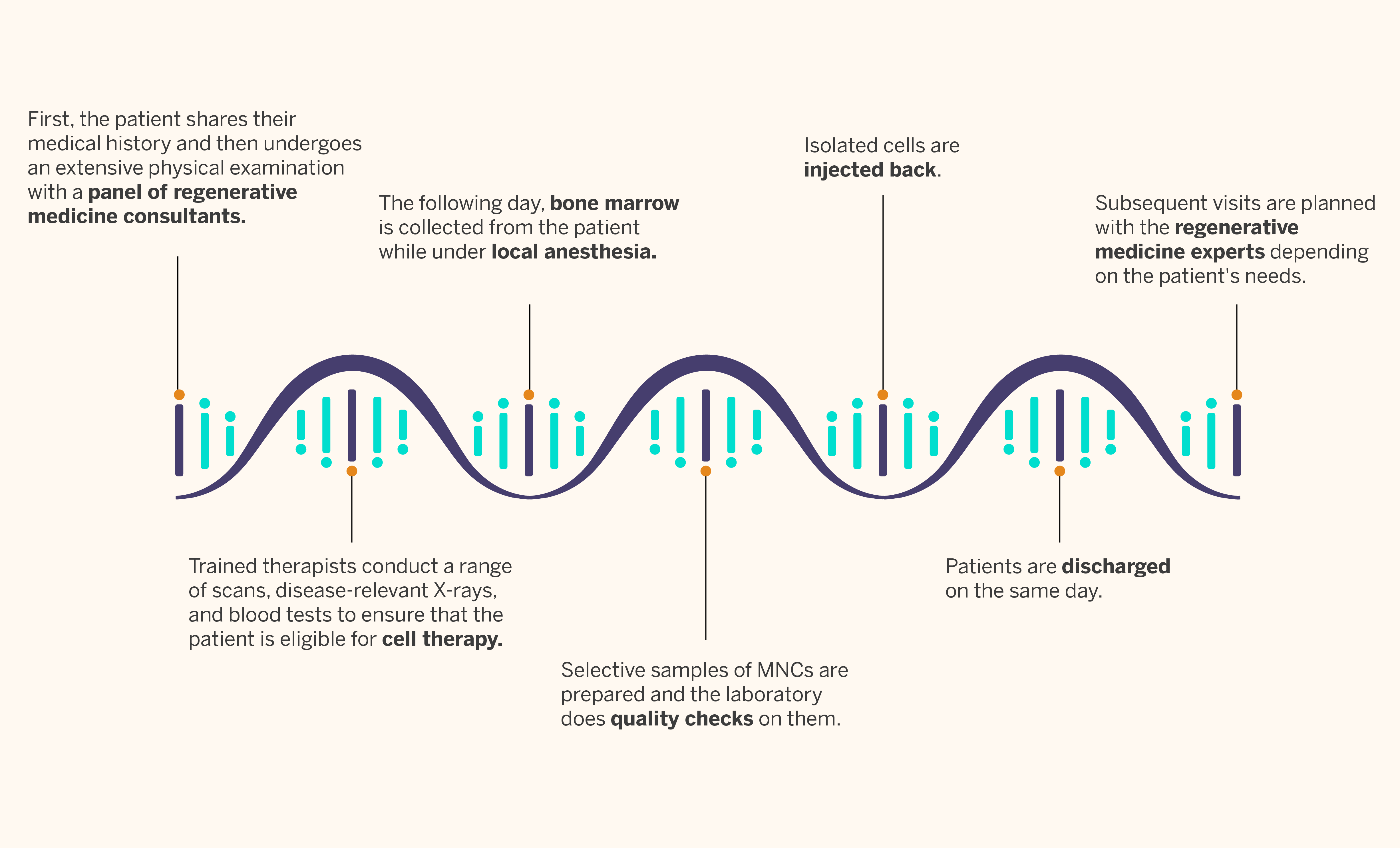 stem infographic rectified