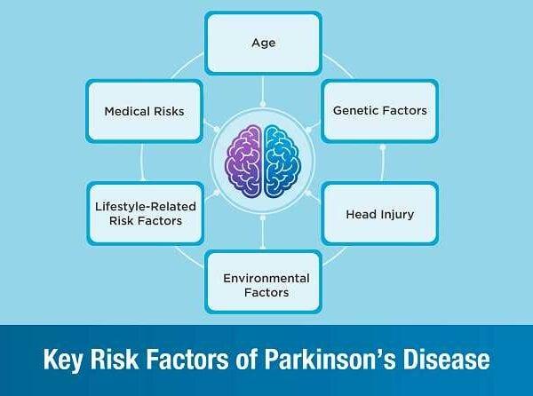 Key Risk Factors of Parkinson’s Disease